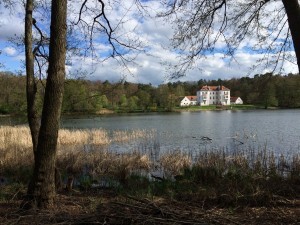 SONTAG! in Grunewald.  Rube and Mandy take a hike.