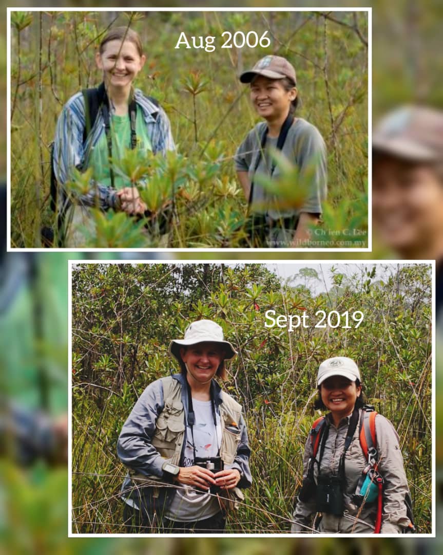 In the field: then and now