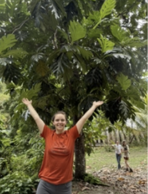 avail breadfruit