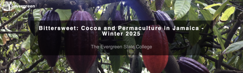 cocoa banner