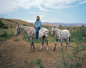 Appaloosa-Akhal-Teke horse, product of the Lapwai Breeding Program [Credit: Erika Larson]