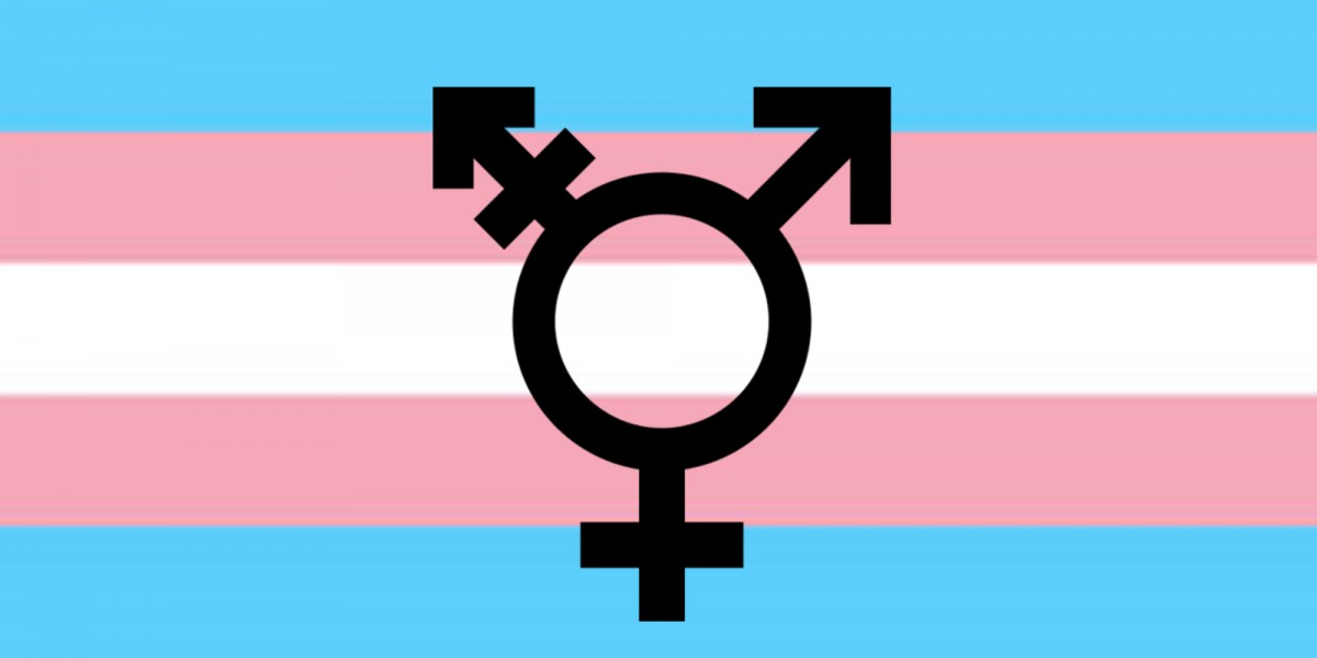 image of the trans flag (pale pink, blue, and white stripes) with a trans symbol on top