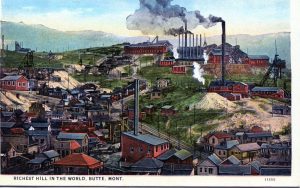 Butte would become the world's largest copper producer. 