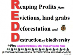 Tom Goldtooth of the Indigenous Environmental Network explains REDD/REDD+ projects as, “pushing forward to a next level economic globalization that is nothing but privatization of nature” (from the Mending News, 2012).