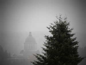 DSCN0447