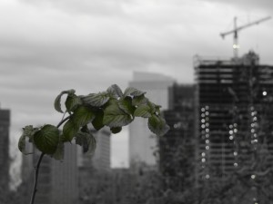 DSCN0560