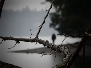 DSCN0703