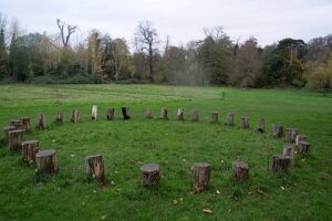 Info Session: Evergreen Community Circles @ Learning and Teaching Commons