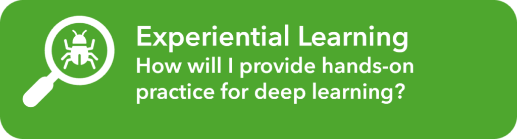 Experiential learning. How will I provide hands-on practice for deep learning?