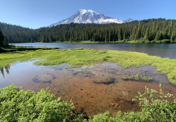 Competition. Meadow and Ponds With Mount Rainier In The Background
