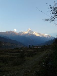 Machhapuchhre 