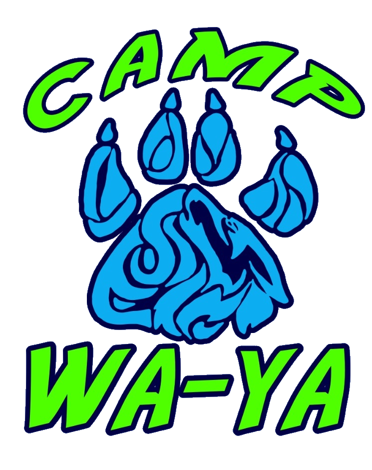 CAMP Logo