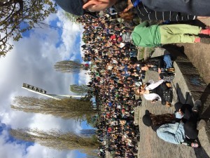 Mauer Park, Berlin Wall memorial, and others