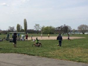 In Search Of…