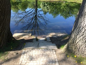 Psychic City- Sit Spot 1