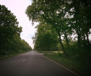 Oldenburg to Münster and 3 Cities Between