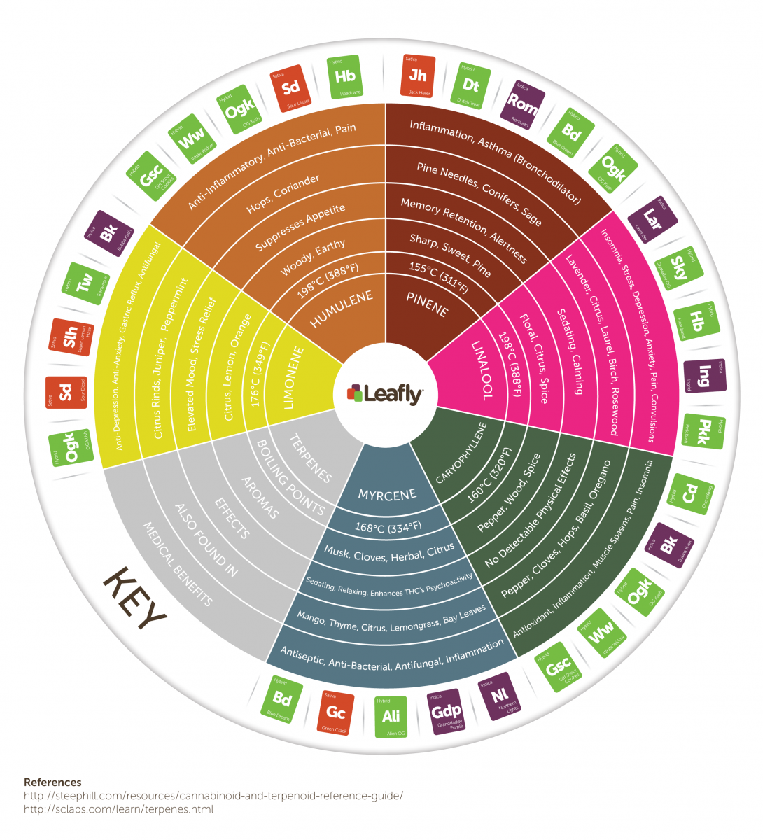 the-chemistry-behind-cannabis-terpenes