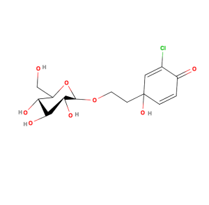 marinoid1