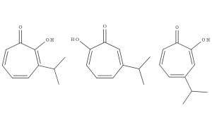 Alpha-, Beta-, and Gamma- thujaplicin isomers