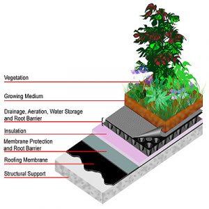 The Evergreen Benefits of Rooftop Gardening